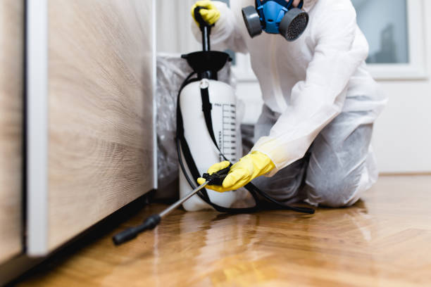 Best Residential Pest Control  in Venice, FL