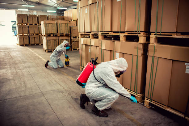 Best Ant Control Services  in Venice, FL