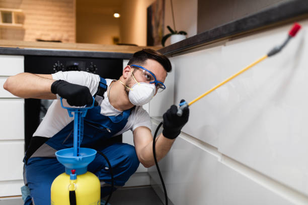Best Wasp Removal Services  in Venice, FL