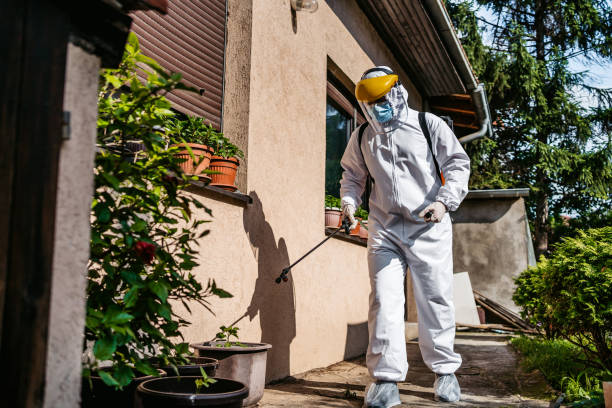 Flea Control Services in Venice, FL