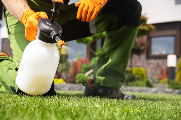Best Affordable Pest Control Services  in Venice, FL