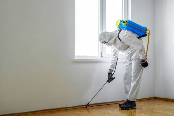 Best Affordable Pest Control Services  in Venice, FL