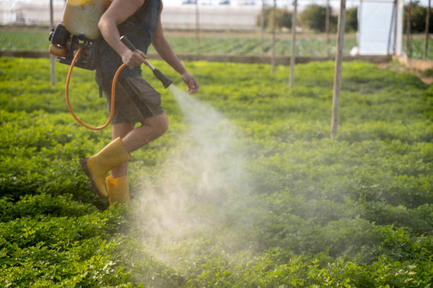 Best Pest Control Near Me  in Venice, FL