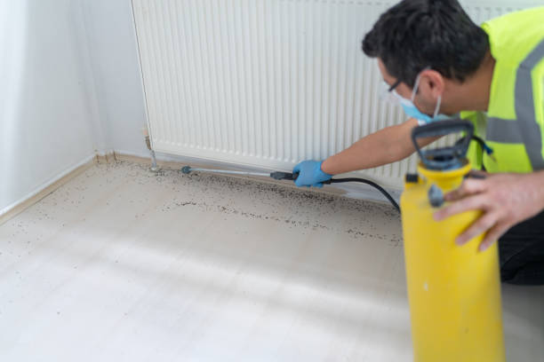 Best Bed Bug Extermination  in Venice, FL