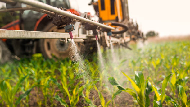 Best Mosquito Control Services  in Venice, FL